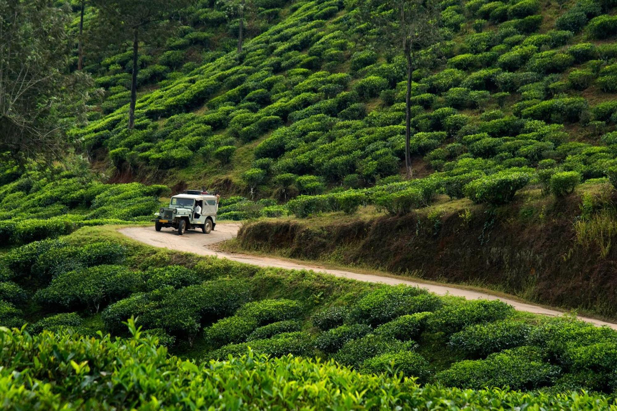 Spicegreen Homestay,テッカディ エクステリア 写真