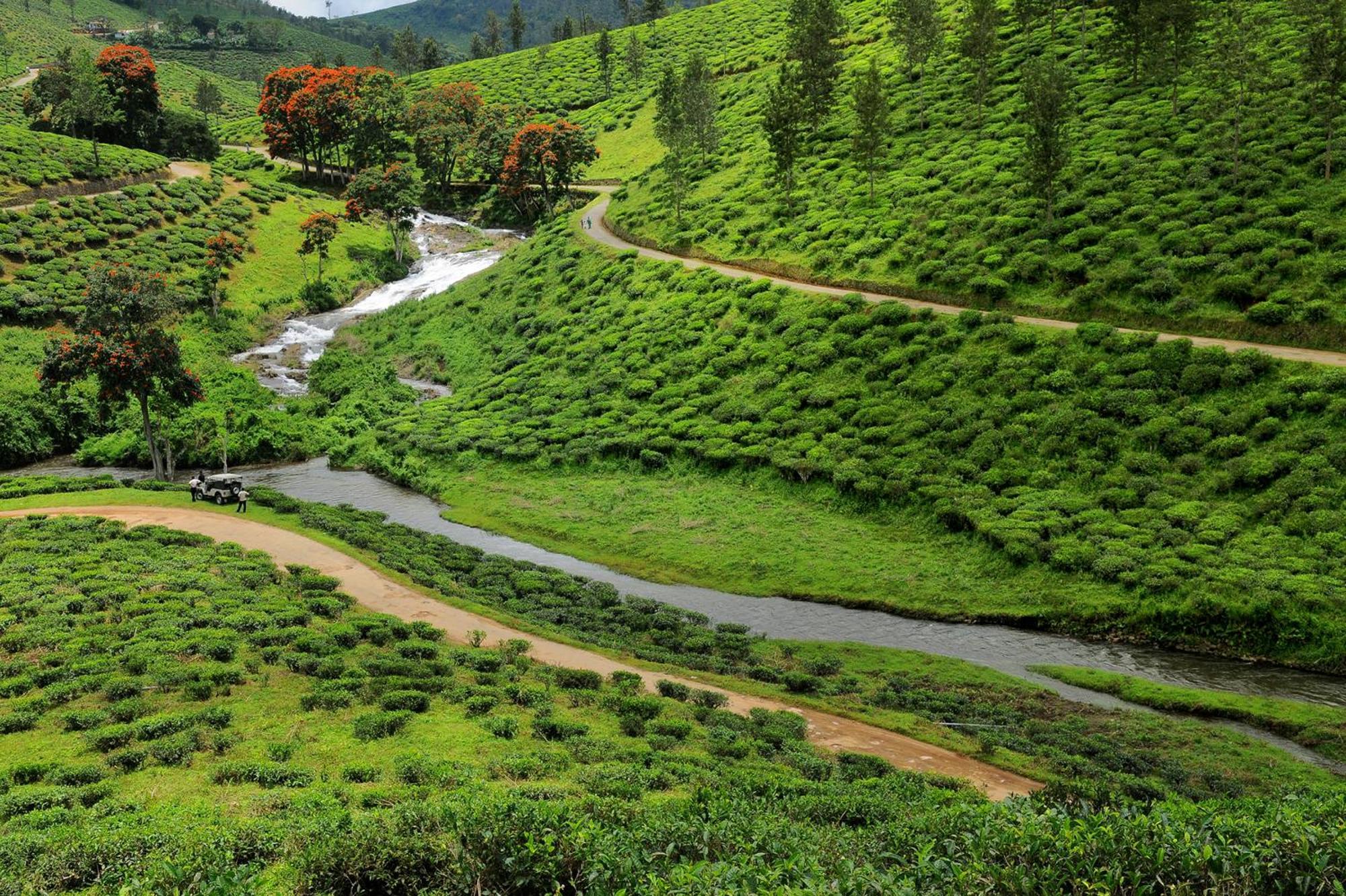 Spicegreen Homestay,テッカディ エクステリア 写真